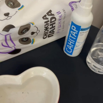 Лариса Ковинева, Кропивницкий Фото - 7