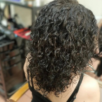 Гранд Акцент, Житомир Фото - 2