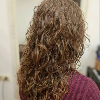 Гранд Акцент, Житомир Фото - 6