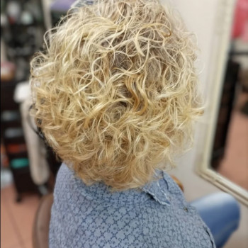 Гранд Акцент, Житомир Фото - 8