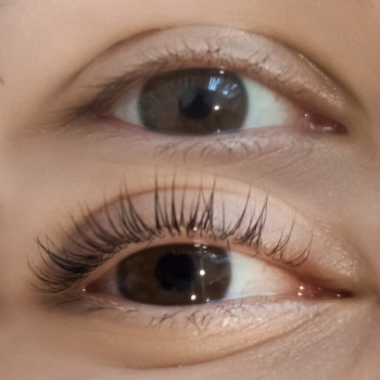 Ламінування, сироватка ботоксу та фарбування вій 
    