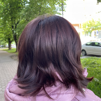 Парадіз, Полтава Фото - 12