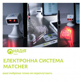 Надія, Львів Фото - 5