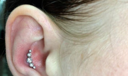 прокол конч Мастер по пирсингу Нік Белая Церковь