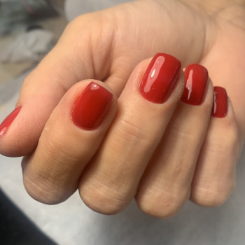 Рената , Львів Фото - 11