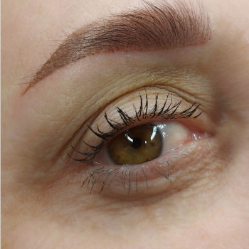 Самостійна робота брівок