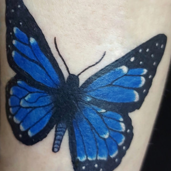 Кольоровий метелик