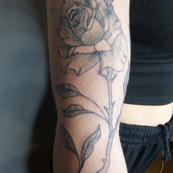 Доповнення до основної гілочки