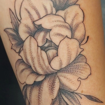 Перша робота на моделі