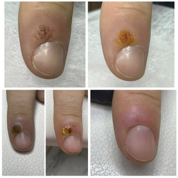 Яна Шпек, Львів Фото - 5