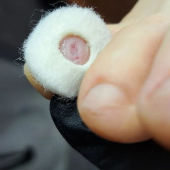 Дарья , Запорожье Фото - 6