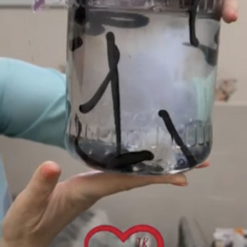 МедичніПіявки    