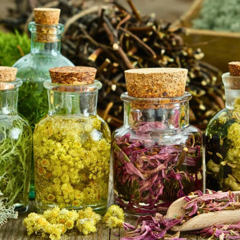 Медовий масаж: професійний якісний масаж досвідченим спеціалістом
                    Масажист Олег Київ