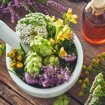 Остеопатичне лікування: професійні консультації досвідченого лікаря-остеопата
                    Массажист Олег Киев