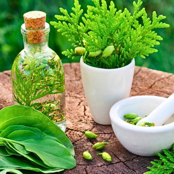 Масаж рук: професійний якісний масаж досвідченим спеціалістом
                    Масажист Олег Київ