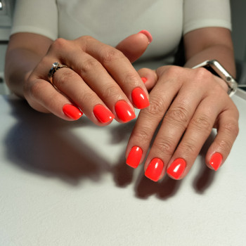 Олександра Зайцева, Вишневе Фото - 10