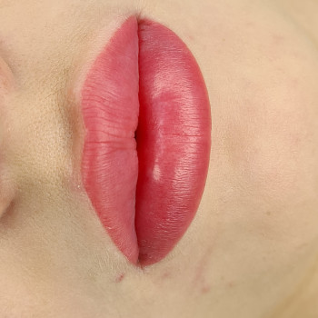 Студія краси Марії Гаврилець, Ужгород Фото - 31