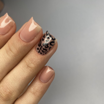 Олена Петренко, Дніпро Фото - 9