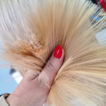 Юлія Бутко, Днепр Фото - 5