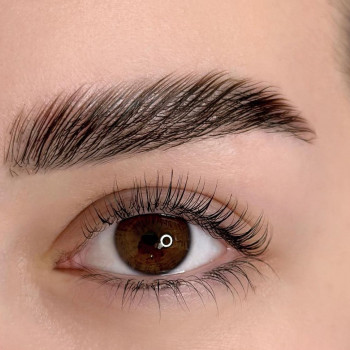 Корекція, фарбування брів
                    Перукар Владислава Київ