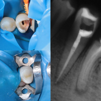 Аліна Вакульчук, Хмельницкий Фото - 9