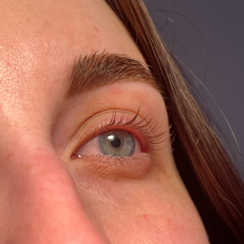 Фарбування/корекція брів та ламінування вій (1 година)