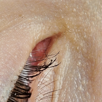 Electro Studio, Київ Фото - 6