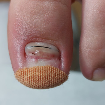 Тетяна Сметанка, Одеса Фото - 5