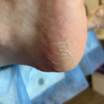 Тетяна Міхєєва, Київ Фото - 10