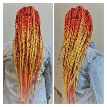 Бокскоси кольорові