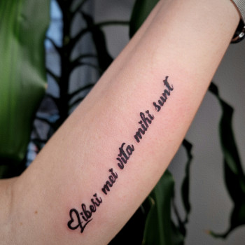 Фото из портфолио мастера Катерина Ионина (тату мастер, Киев)