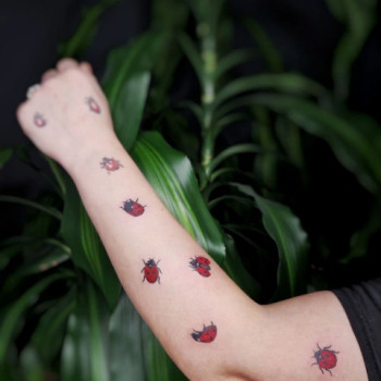 Фото из портфолио мастера Катерина Ионина (тату мастер, Киев)