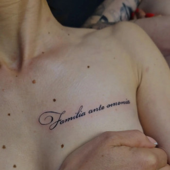 Фото из портфолио мастера Катерина Ионина (тату мастер, Киев)