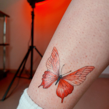 Фото из портфолио мастера Катерина Ионина (тату мастер, Киев)