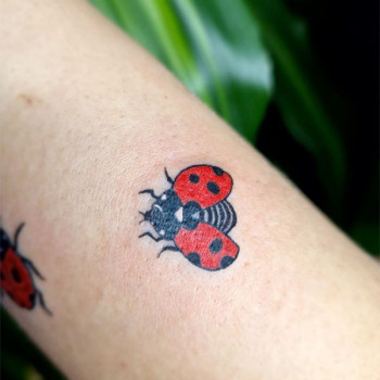 Фото из портфолио мастера Катерина Ионина (тату мастер, Киев)