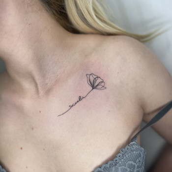 Міні тату
                    Мастер перманентного макияжа Анна Полтава