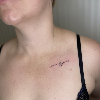 Міні тату
                    Мастер перманентного макияжа Анна Полтава