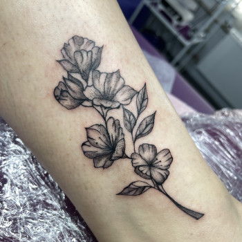 Міні тату
                    Мастер перманентного макияжа Анна Полтава