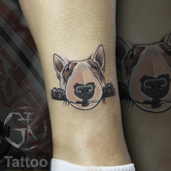 Татуювання
                    Тату салон  Канів