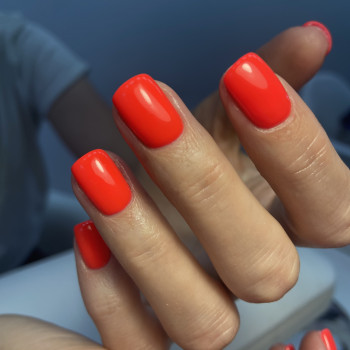 Леся Пухальська, Київ Фото - 7