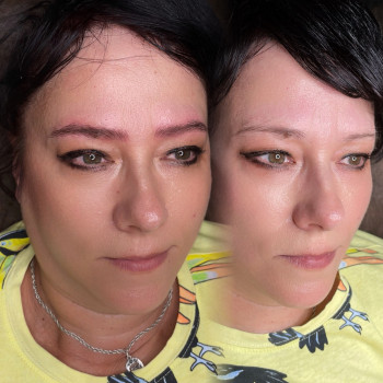 Волоскова техніка брів