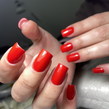 Монако, Суми Фото - 8