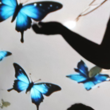 Юність, Киев Фото - 9