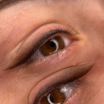   робота на чемпіонаті #
1 місце 🥇