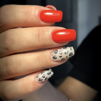 Анна Недашківська, Житомир Фото - 17