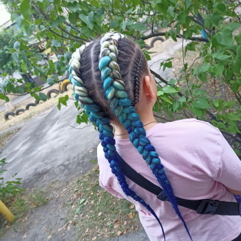 Боксерські коси