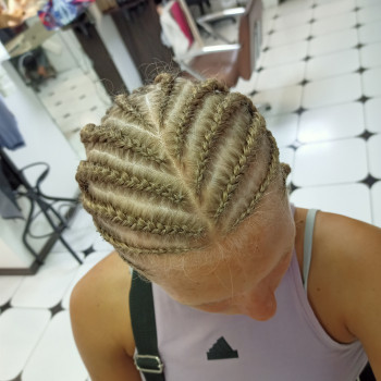 Сфінкс без матеріалу