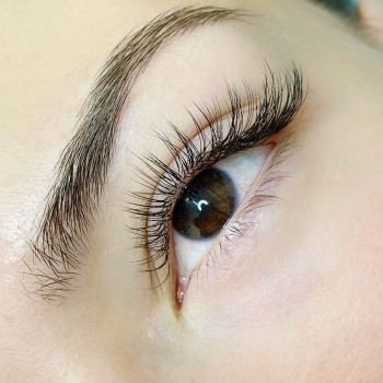 Ефект Butterfly 
Неймовірне поєднання класики з мокрим 2д
 
 
 
 
 