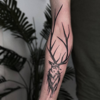 Free Art Tattoo, Киев Фото - 17