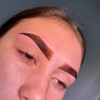 викладка хни